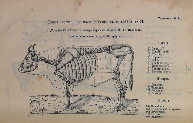 Александрова-Игнатьева П.П. Практические основы кулинарного искусства. Руководство для кулин. шк. и для самообучения. С прил. крат. попул. курса мясоведения магистра вет. наук М.А. Игнатьева. 10-е изд. СПб.: Тип. Я. Трей, 1914.